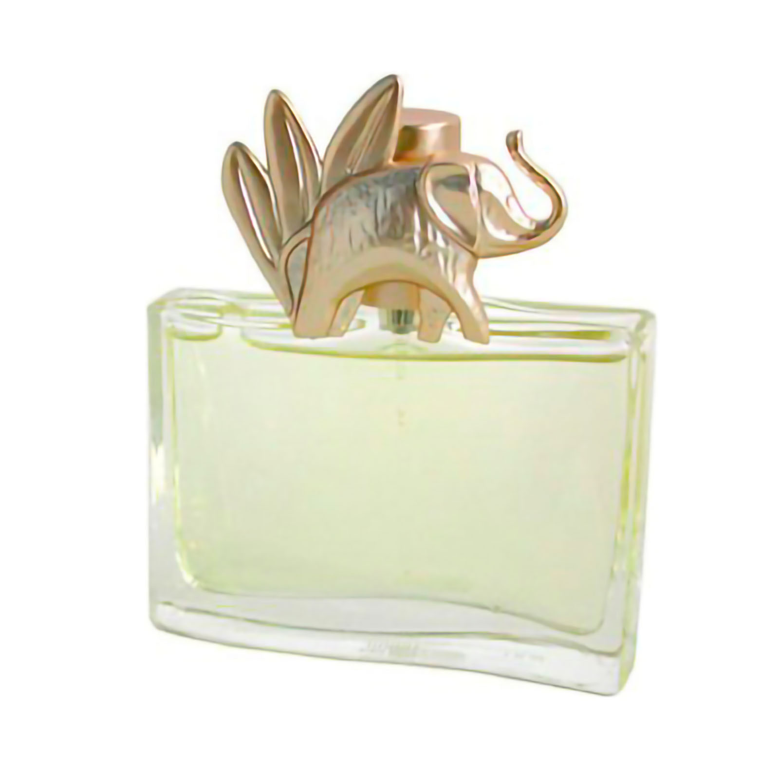 14809 Kenzo Jungle - Eau de Parfum 100ml